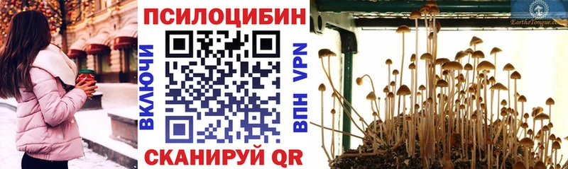 Галлюциногенные грибы GOLDEN TEACHER  Козловка 
